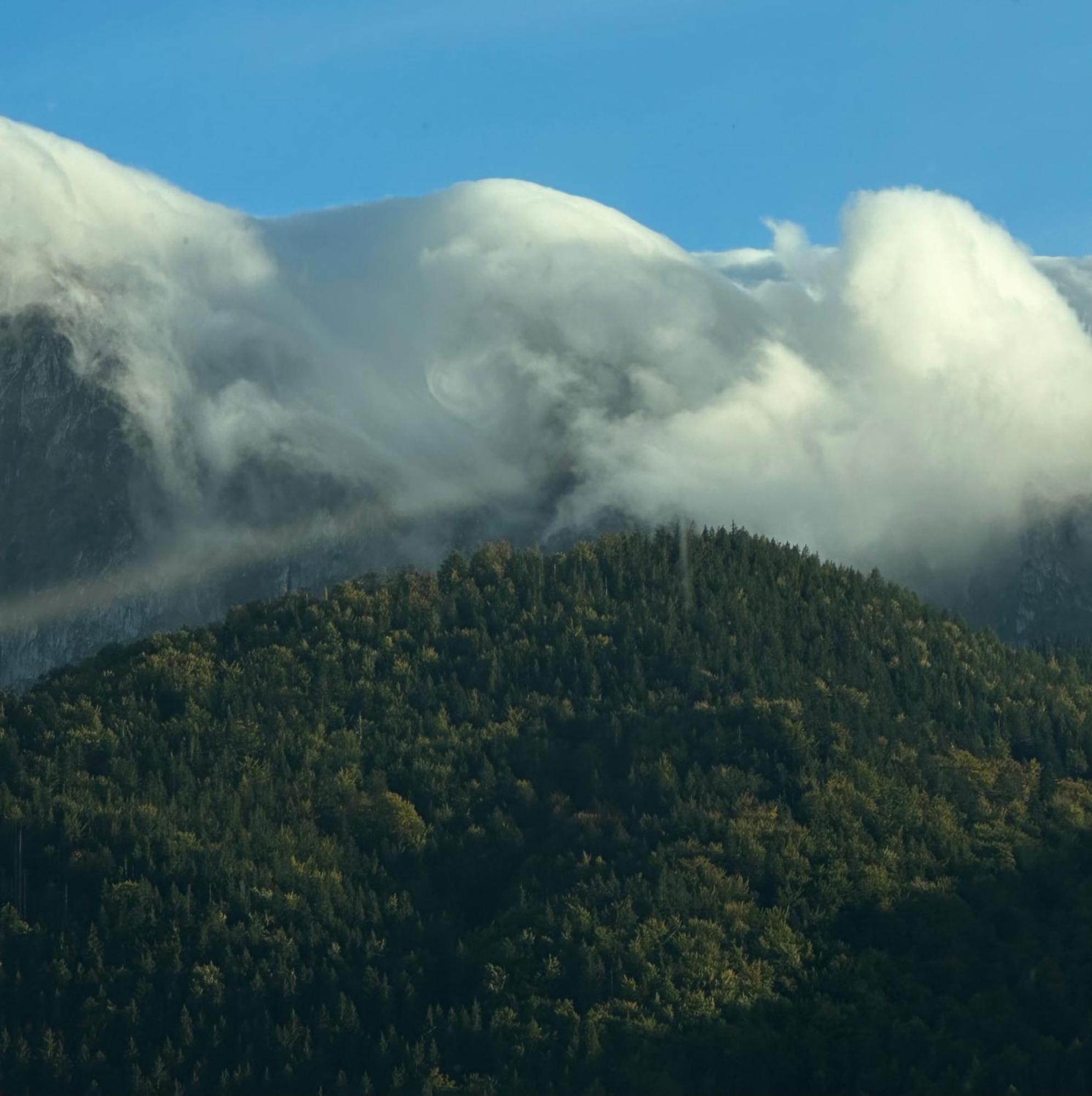 Domek alpejski Gorski Zakopane Kościelisko